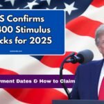 Stimulus Checks for 2025